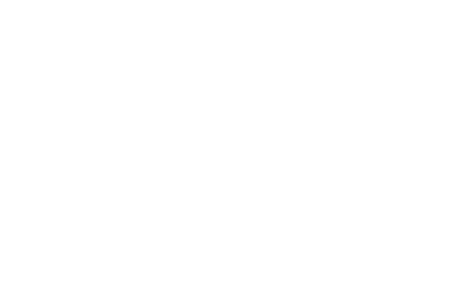 Zola's Fine Foods logo — made by Neowork Studios